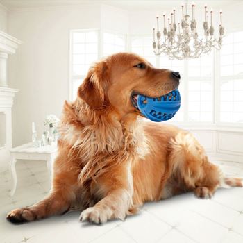 Obrázek z Žvýkací míček pro psy - velký 