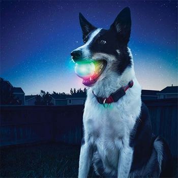 Obrázek z Svítící míček pro psy 