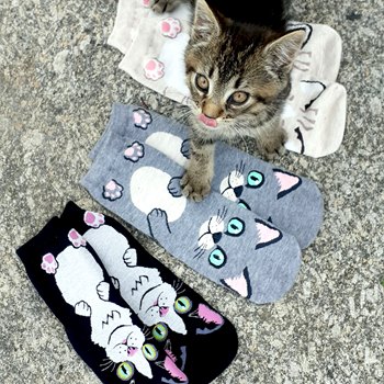 Obrázek z Veselé ponožky s kočičkou - šedé 