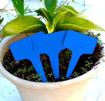 Obrázek z Štítky k rostlinám - modrá 