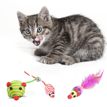 Obrázek z Set hraček pro kočky 