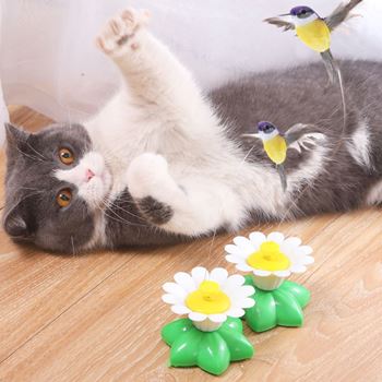 Obrázek z Hračka pro kočky – létající kolibřík 