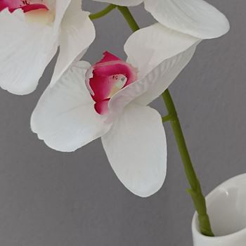 Obrázek z Umělé květiny orchidej - bílá 