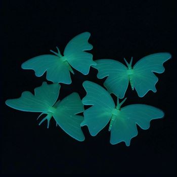 Obrázek z Svítící motýlci 