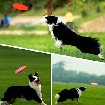 Obrázek Silikonové frisbee pro psy