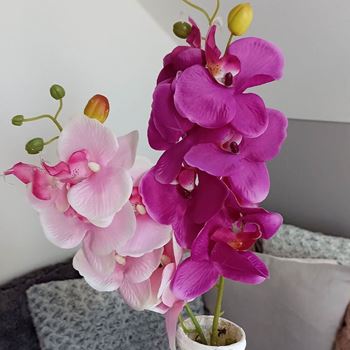 Obrázek z Umělé květiny orchidej - tmavě růžová 