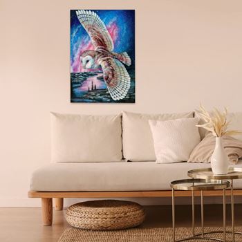 Obrázek z  Diamantové malování s rámem - sova pálená  