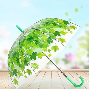 Obrázek Průhledný deštník - zelené listy