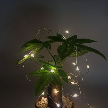 Obrázek z Vánoční světelný řetěz deluxe 