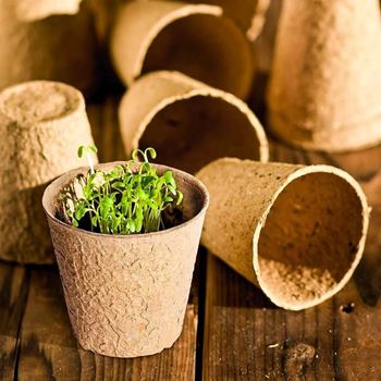 Obrázek z Papírové květináče 50 ks 