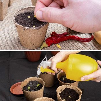 Obrázek z Papírové květináče 50 ks 