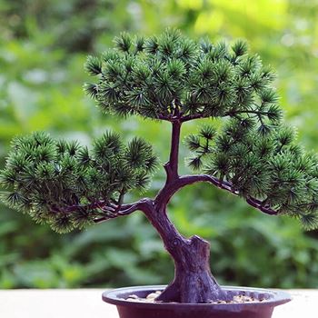 Obrázek z Umělá bonsai v květináči 