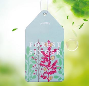 Obrázek Vonítko do auta  - pomeranč