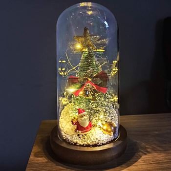 Obrázek Svítící vánoční stromeček ve skleněné váze v dárkovém balení