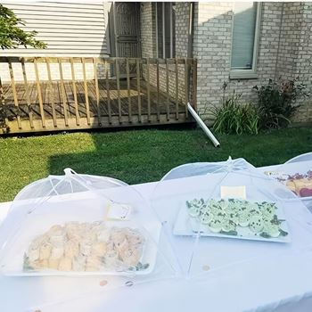 Obrázek Ochranná síťka na potraviny 60 x 40 cm