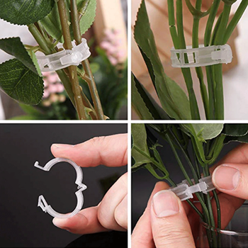 Obrázek z Klipy/pásky pro uchycení rostlin 50 ks 