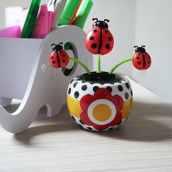 Obrázek Solární květina - beruška