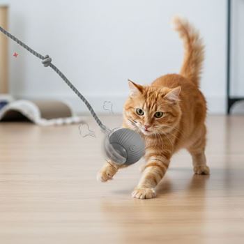 Obrázek z Nabíjecí pohyblivý míček pro zvířata 