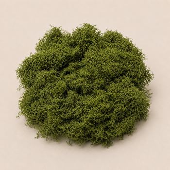 Obrázek Umělý mech - 32 g