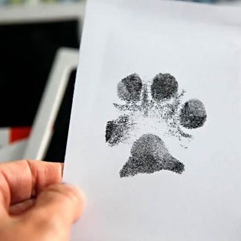 Obrázek z Sada na otisk tlapky - Sada na otisk tlapky s rámečkem na fotky 